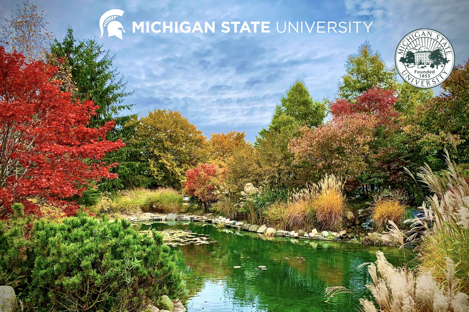The Healing Garden at MSU